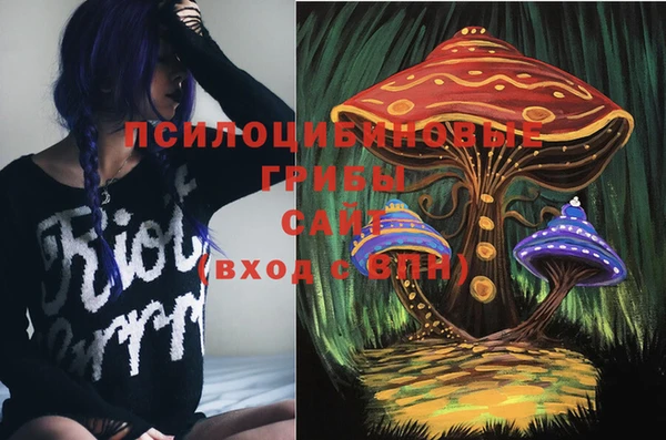 марки nbome Новозыбков