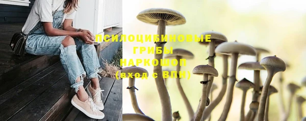 трава Новокубанск