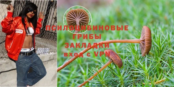 скорость mdpv Новодвинск