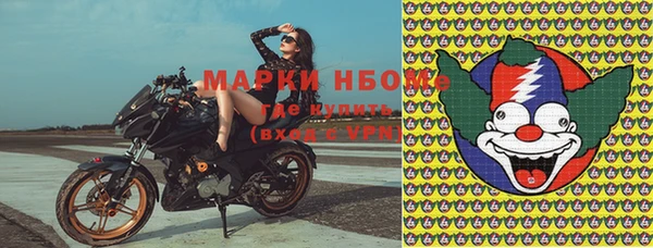 трава Новокубанск