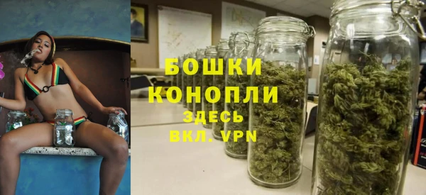 трава Новокубанск