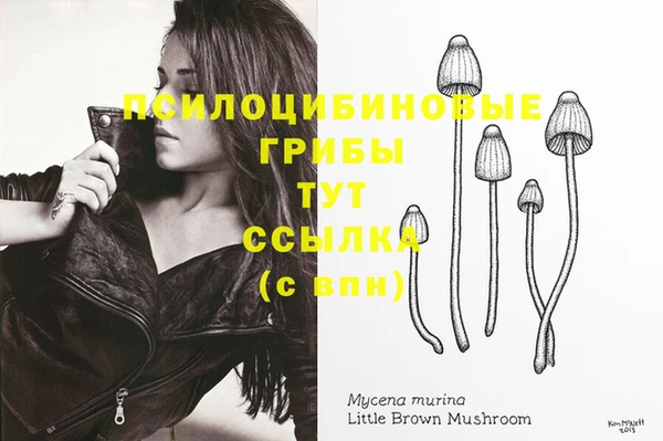 марки nbome Новозыбков