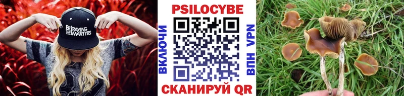Псилоцибиновые грибы мицелий  мега как войти  Барабинск 